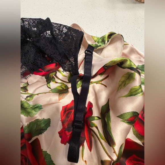 New L'AGENCE Venice Cowl Lace Neck Silk Gown in Sand Silk Romantic Rose. - Picture 9 of 9